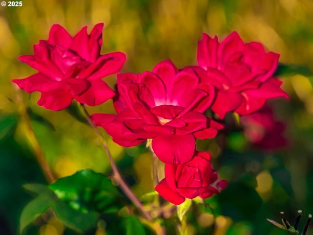 2259 Ne MORLAN Ave, Gresham, OR 97030