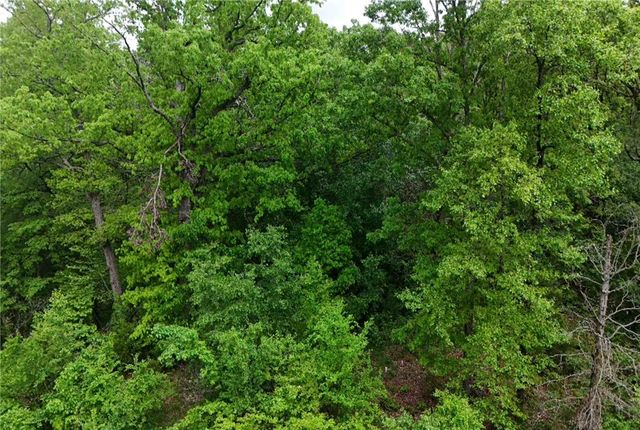 Tract 1, 13225 Dawn View Drive, Gentry, AR 72734