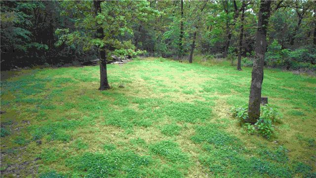 Tract 1, 13225 Dawn View Drive, Gentry, AR 72734