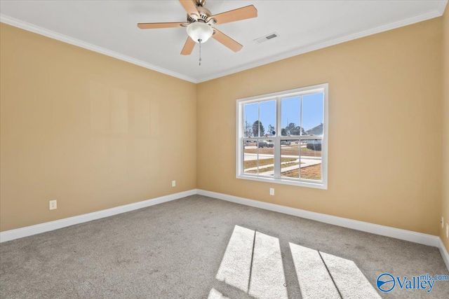 160 Shaw Street, Albertville, AL 35950