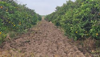 1107 W Davis Street, Edinburg, TX 78541