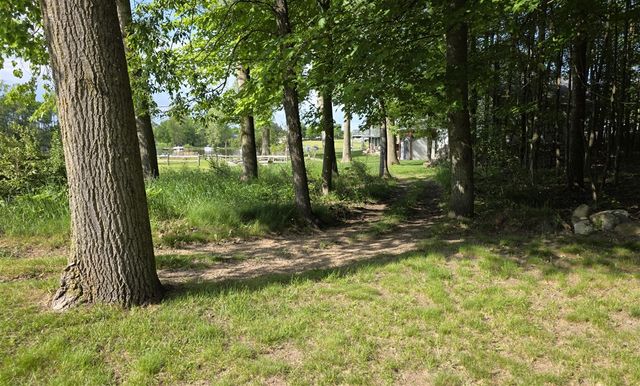 1015 Pequena Drive, Lake Isabella, MI 48893