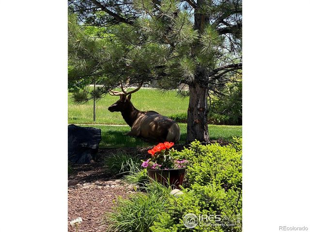 2920 Champion Circle, Loveland, CO 80538