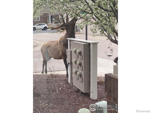 2920 Champion Circle, Loveland, CO 80538