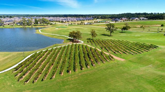 9786 Rockwell Drive, Willis, TX 77318