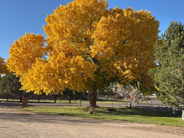 2686 Della Road SW, Albuquerque, NM 87105