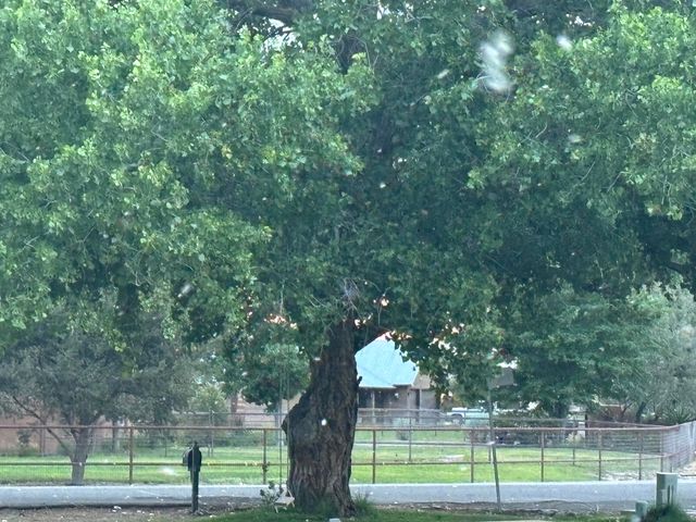 2686 Della Road SW, Albuquerque, NM 87105