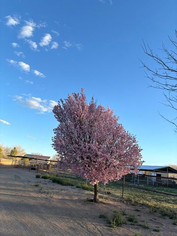 2686 Della Road SW, Albuquerque, NM 87105