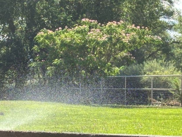 2686 Della Road SW, Albuquerque, NM 87105