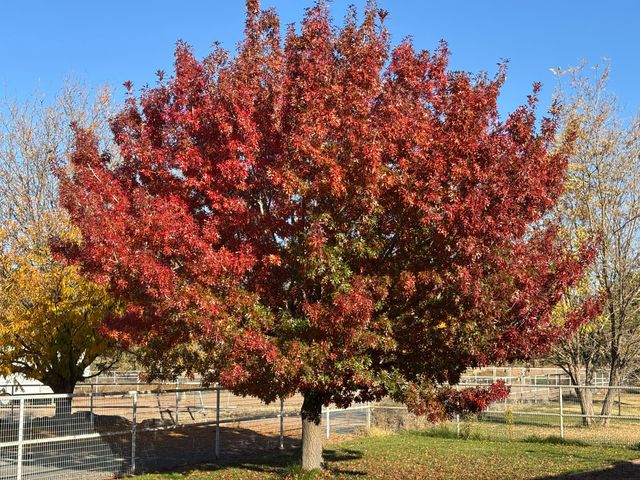 2686 Della Road SW, Albuquerque, NM 87105