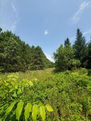 Lt0 TOWN HALL ROAD, Wisconsin Dells, WI 53965