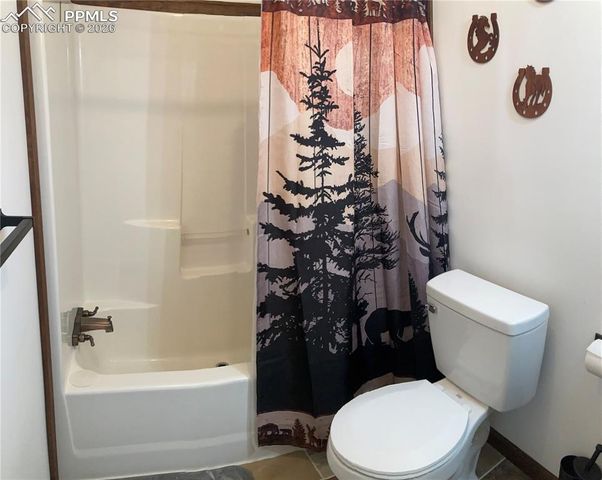 136 Black Knat Road, Fairplay, CO 80440