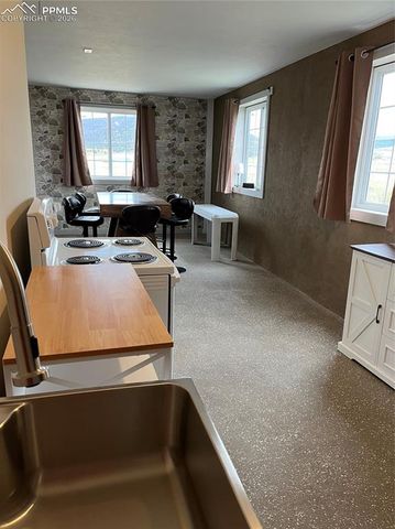 136 Black Knat Road, Fairplay, CO 80440