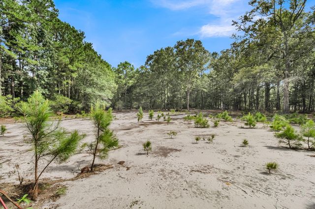 7971 Highway 162, Hollywood, SC 29449