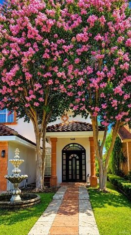 2308 Colorado Street, Mission, TX 78572