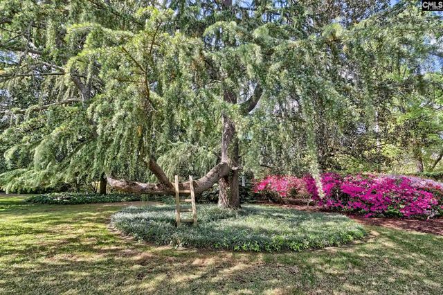 415 Harden Street, Columbia, SC 29205