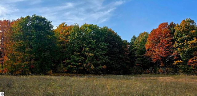 303 Westwood Road, Nw, Alden, MI 49612