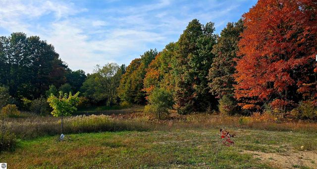 303 Westwood Road, Nw, Alden, MI 49612