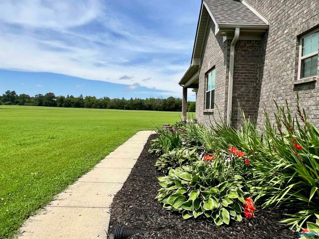 15153 Hobbs Road, Athens, AL 35614