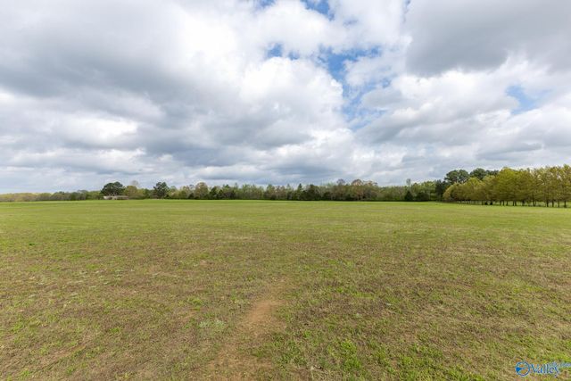 15153 Hobbs Road, Athens, AL 35614