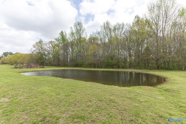 15153 Hobbs Road, Athens, AL 35614