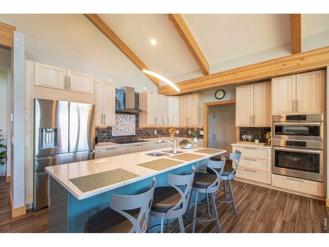 91 Eagle Rising Pl, Livermore, CO 80536