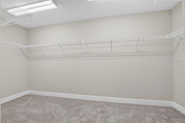 5407 TAGALONG PLACE, Apollo Beach, FL 33572