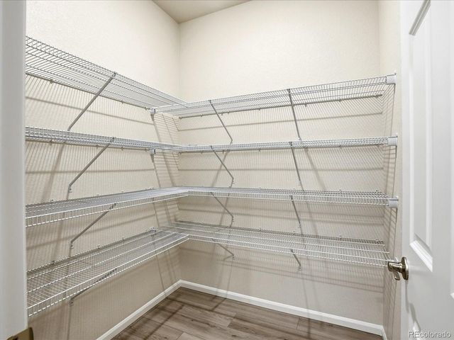 1618 Rumley Creek Dr, Windsor, CO 80550