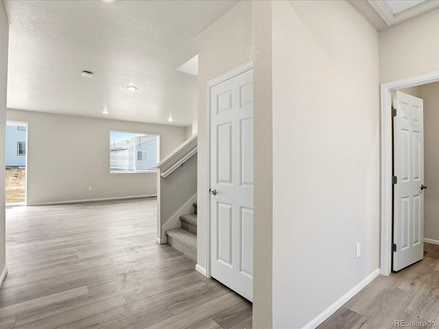 1618 Rumley Creek Dr, Windsor, CO 80550