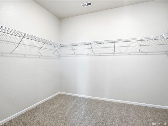 1618 Rumley Creek Dr, Windsor, CO 80550