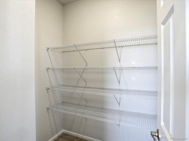 1618 Rumley Creek Dr, Windsor, CO 80550