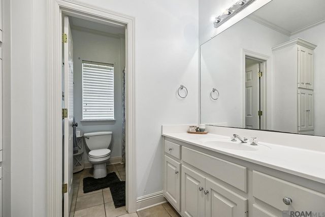 18666 Mossy Oak Ct, Prairieville, LA 70769
