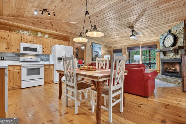 234 Holly Hollow Road, Cherry Log, GA 30522