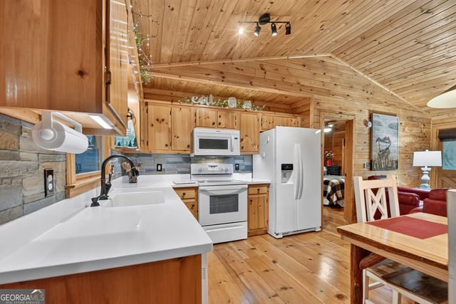 234 Holly Hollow Road, Cherry Log, GA 30522