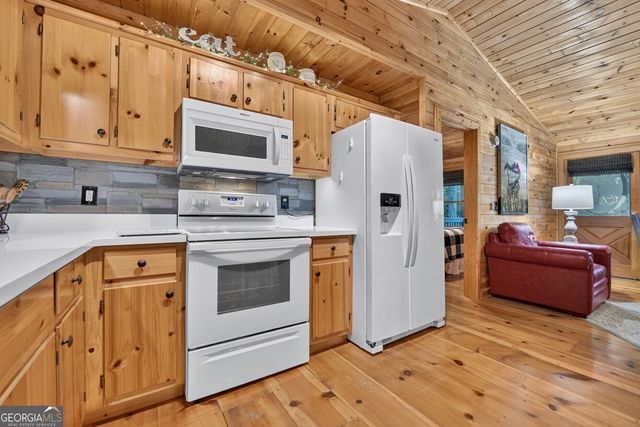 234 Holly Hollow Road, Cherry Log, GA 30522