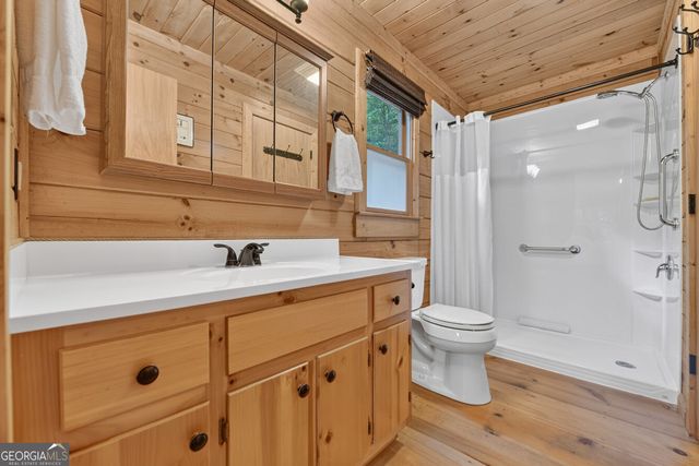 234 Holly Hollow Road, Cherry Log, GA 30522