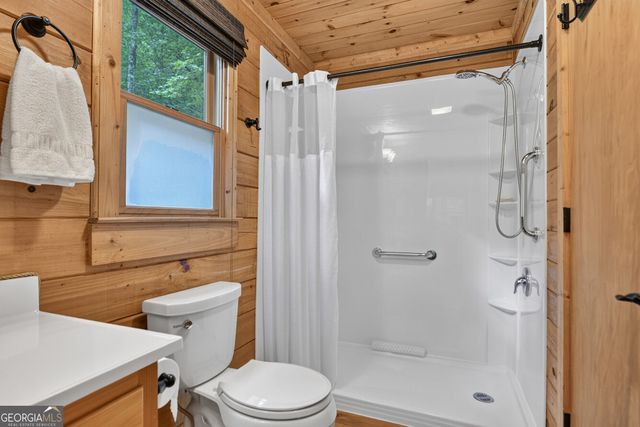 234 Holly Hollow Road, Cherry Log, GA 30522