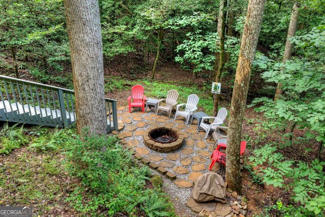 234 Holly Hollow Road, Cherry Log, GA 30522