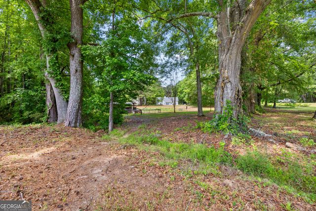 466 Bob Smith Road, Sharpsburg, GA 30277