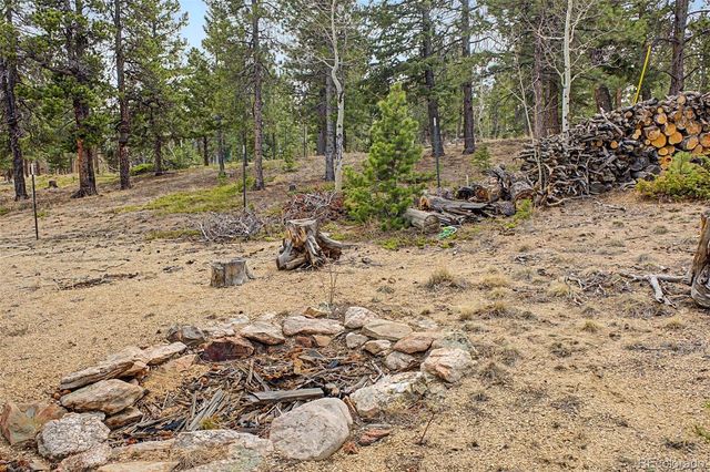 76 Highlands Drive, Bailey, CO 80421