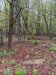 Lot 2 Christopher Lane, South Haven, MI 49090