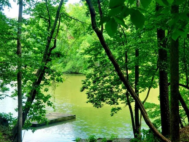 0 Bridgewater LN, Moneta, VA 24121