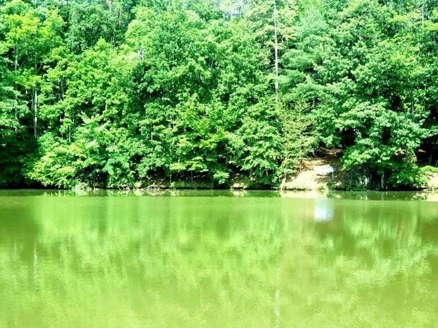 0 Bridgewater LN, Moneta, VA 24121