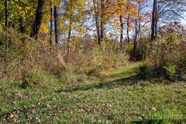 16300 Mcclure Avenue NE, Sand Lake, MI 49343