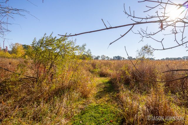 16300 Mcclure Avenue NE, Sand Lake, MI 49343