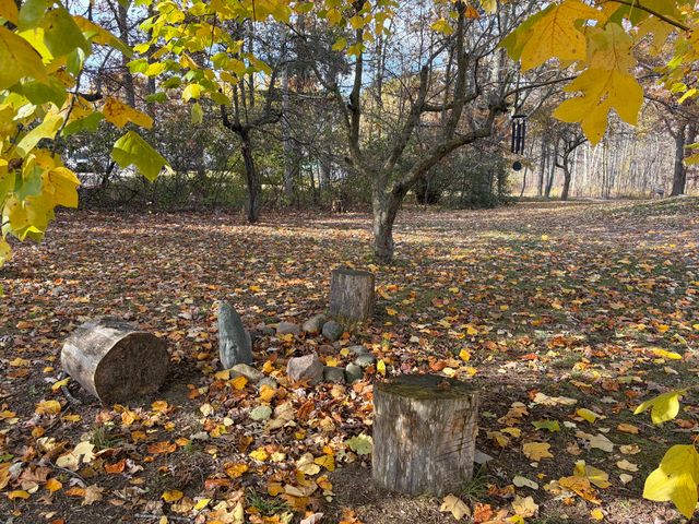 16300 Mcclure Avenue NE, Sand Lake, MI 49343