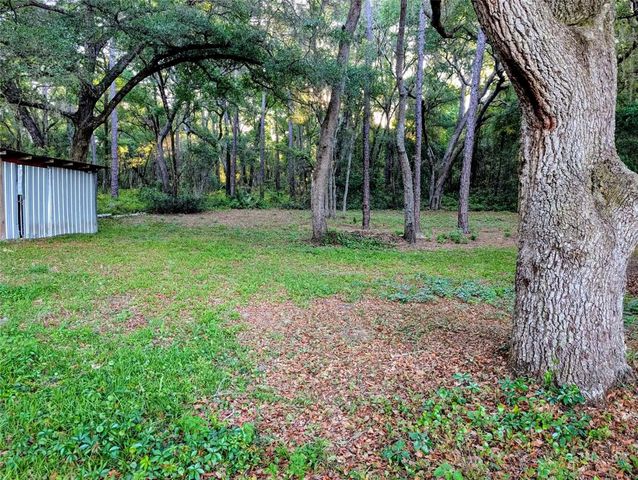 17247 SE 284TH TERRACE, Umatilla, FL 32784
