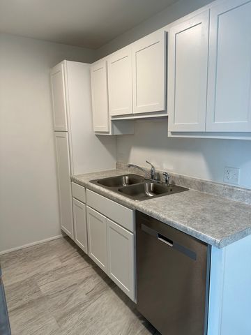 15B E Dundee Quarter Drive 301, Palatine, IL 60074
