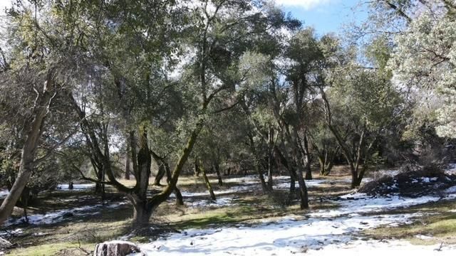 0 T8s R22e Sec 11&14, North Fork, CA 93643