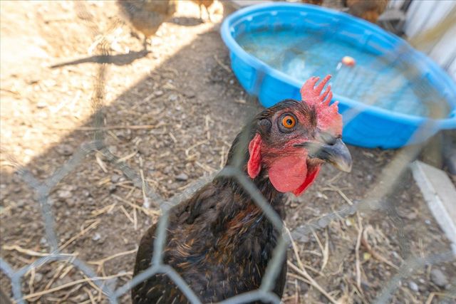 9307 E Morgan Rd, Spokane, WA 99217